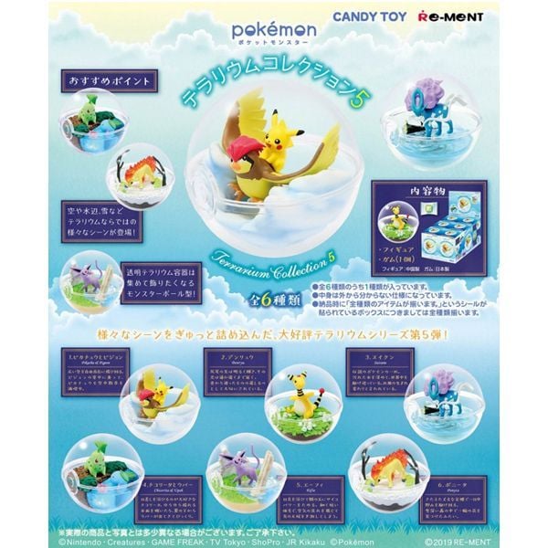 Pokémon Terrarium Collection 5 Blind Box Figurine Case